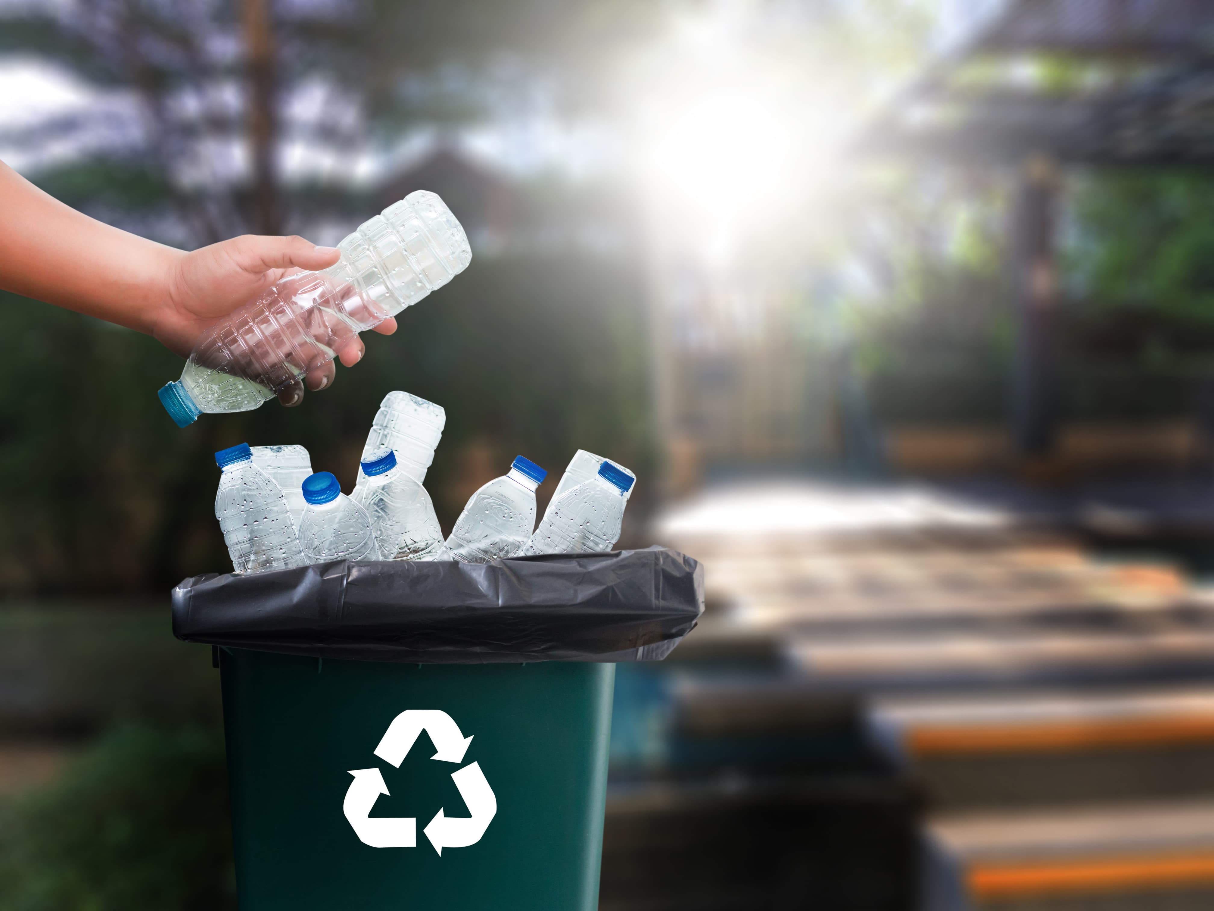 Ultimate Guide to Start CA CRV Recycling Recycle From Home